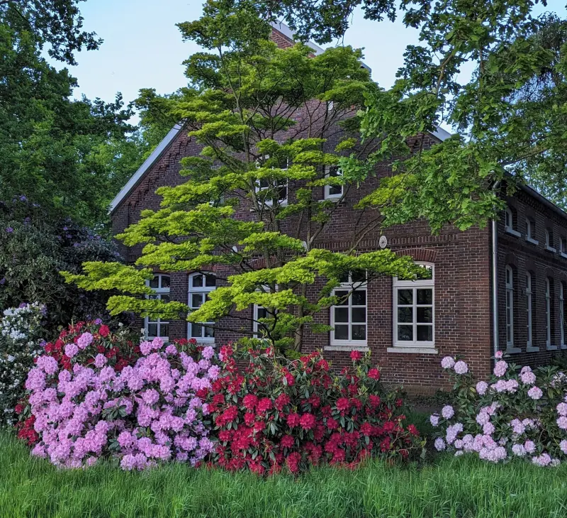 Ferienhaus Apen