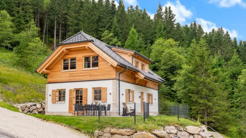 Ferienhaus Donnersbachwald
