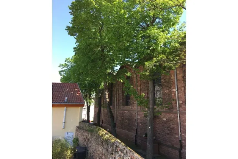Ferienhaus Wiesbaden