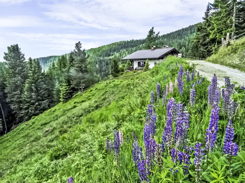 Ferienhaus in Hochrindl-Alpl f&uuml;r max. 6 Personen
