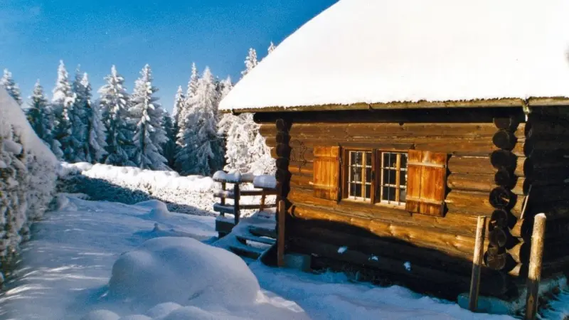 Ferienhaus mit Hund in Altmünster am Traunsee f&uuml;r max. 3 Personen