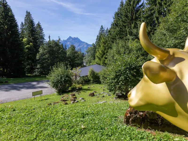 Ferienwohnung in Ollon, Leysin für max. 5 Personen Ferienwohnung in Ollon, Leysin für max. 5 Personen
