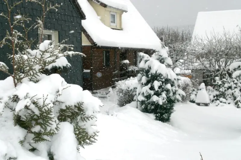 Ferienhaus mit Hund in Braunlage fuer max. 4 Personen