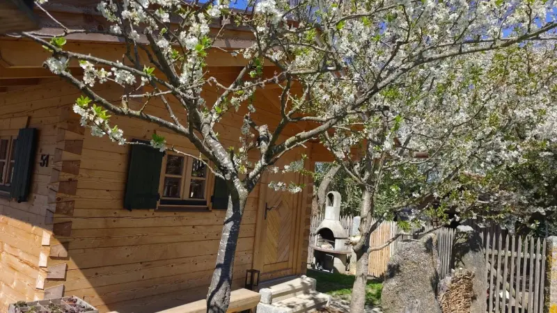 Ferienhaus  Roding