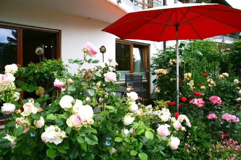 Ferienwohnung Heitersheim