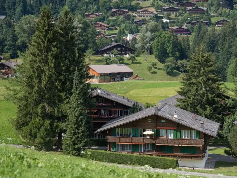 Ferienwohnung  Gstaad