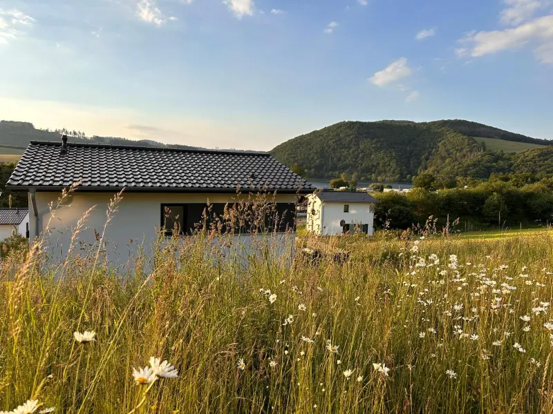 Ferienhaus Diemelsee