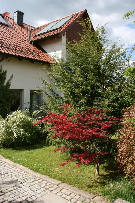 Ferienhaus Gohrisch