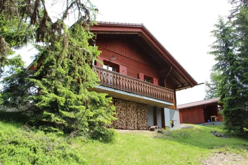 Ferienhaus mit Hund in Sauerwald, Arriach für max. 6 Personen Ferienhaus mit Hund in Sauerwald, Arriach für max. 6 Personen