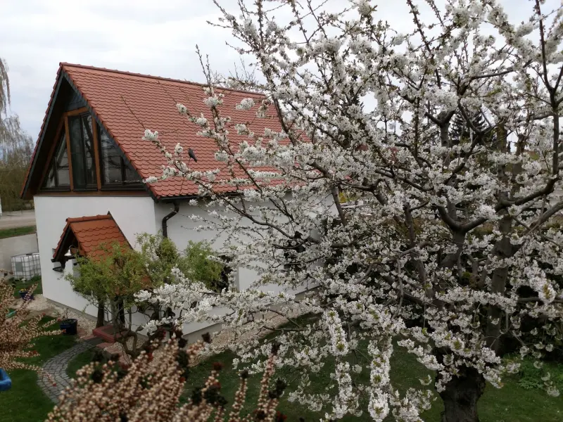 Ferienhaus Stotternheim