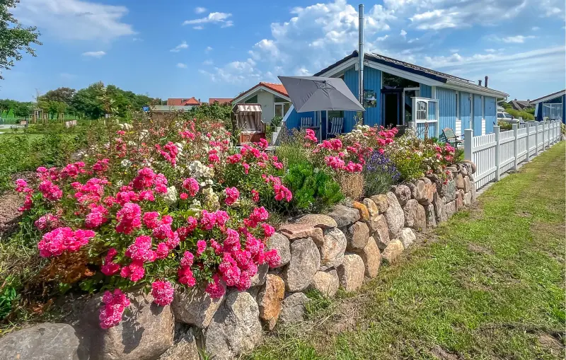 Ferienhaus mit Hund inFriedrichskoog, Friedrichskoog-Spitze  f&uuml;r max. 4 Personen