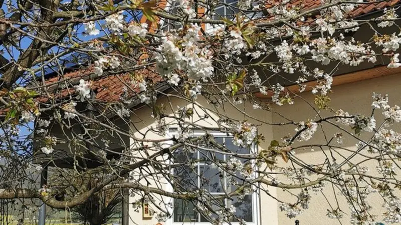 Ferienwohnung Reinhardshausen