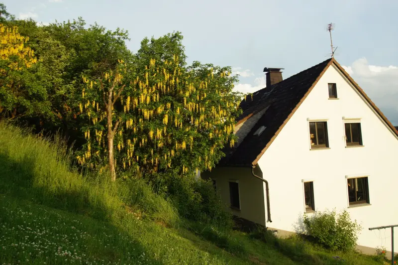 Ferienhaus Hallenberg