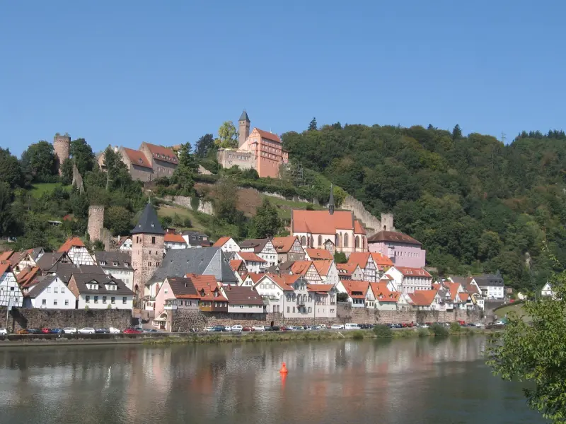 Ferienwohnung Hirschhorn (Neckar)