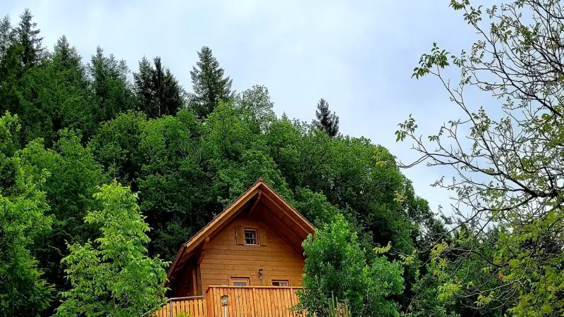 Ferienhaus Ottenhöfen im Schwarzwald
