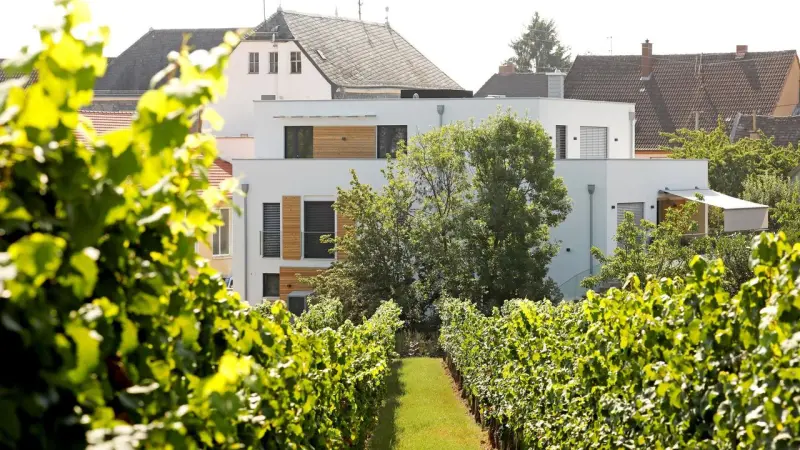 Ferienwohnung  Edenkoben
