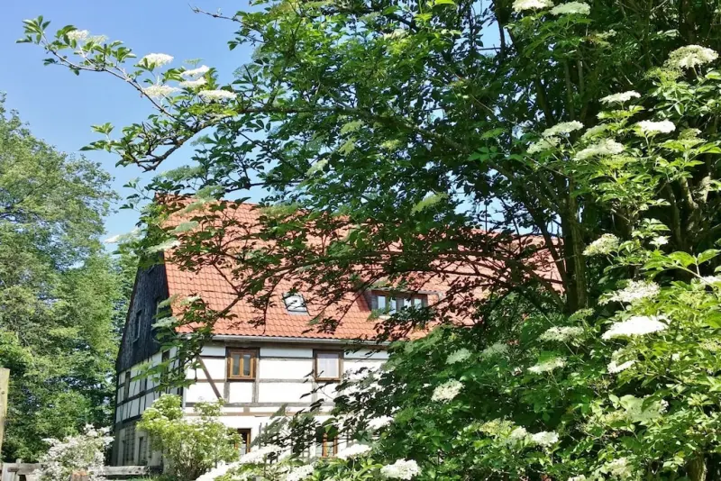 Ferienhaus  Rathmannsdorf