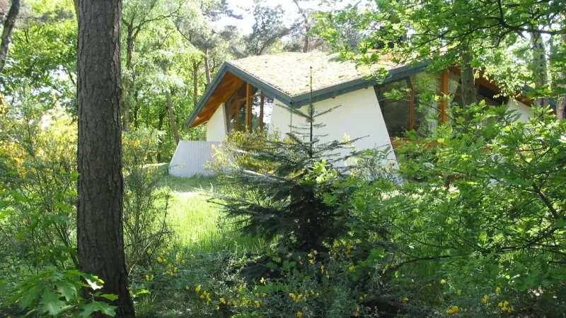 Ferienhaus mit Terrasse, Garten und Pool