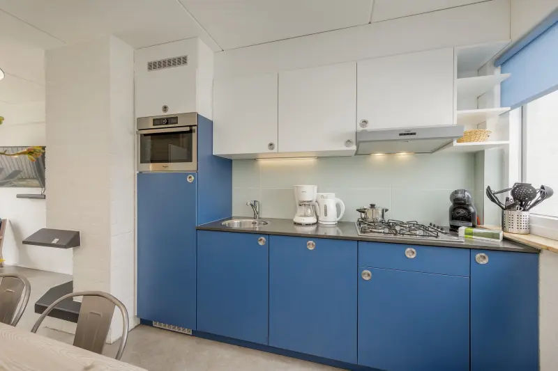 Ferienhaus mit Hund inZandvoort,   f&uuml;r max. 4 Personen