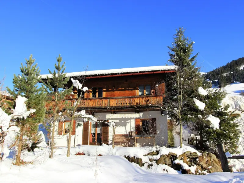 Chalet Aschau