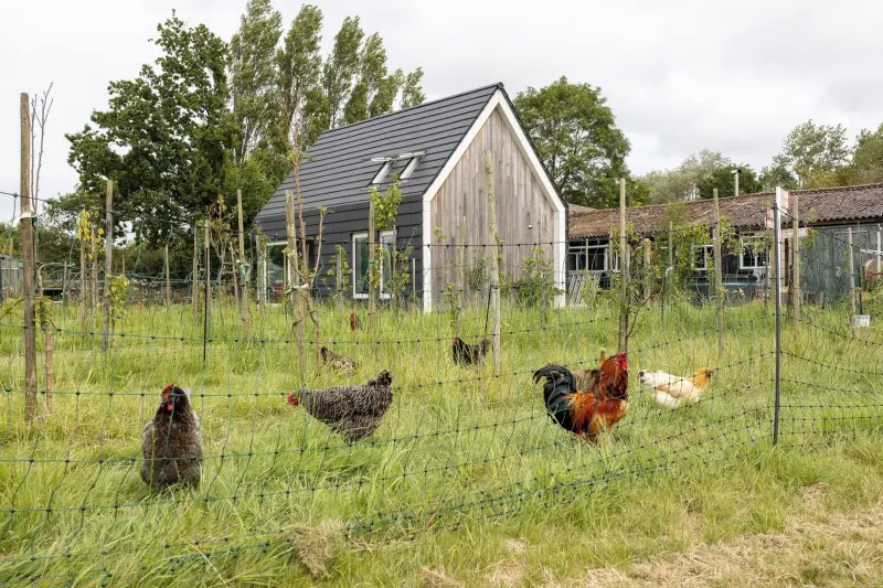 Ferienhaus Domburg