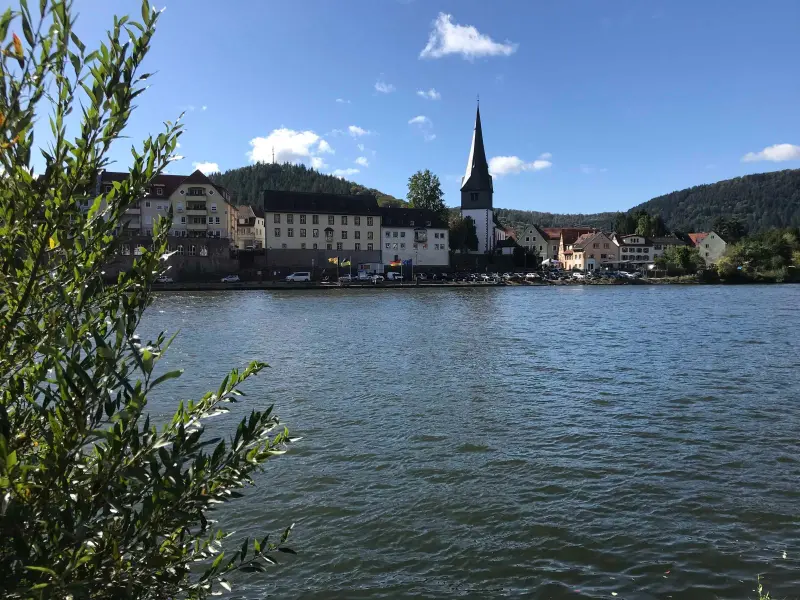 Ferienwohnung Neckargemünd