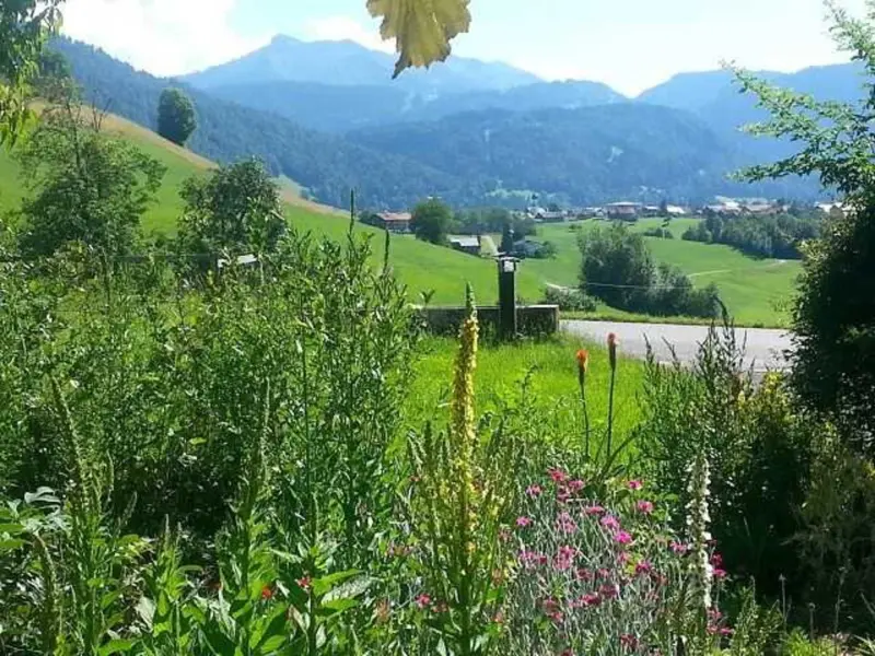 Ferienhaus Andelsbuch