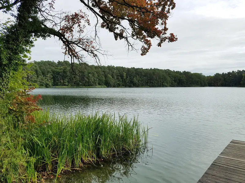 Ferienwohnung Waldsieversdorf