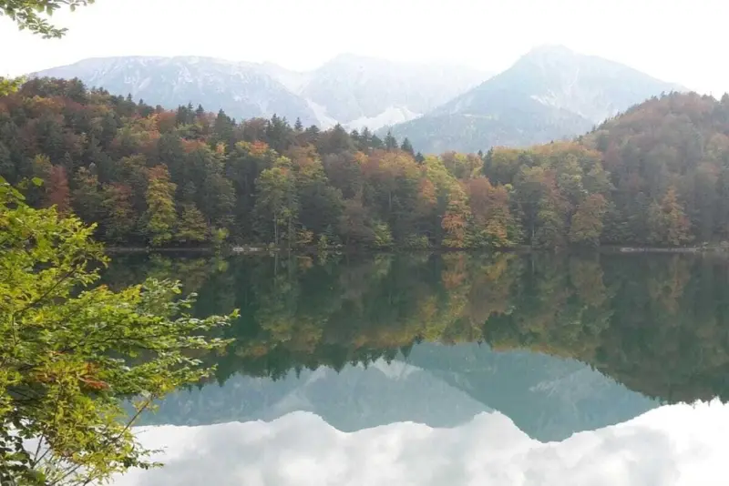 Ferienhaus mit Hund in Mittelberg, Allgäu, Deutschland