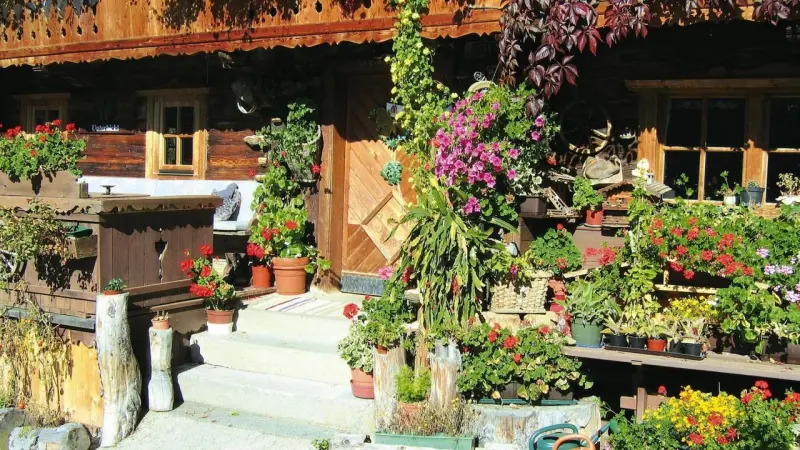Tolle Wohnung mit Pool und Garten | Nah am Skifahren | Haustiere erlaubt
