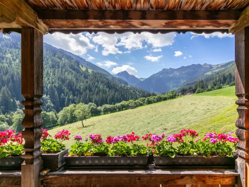 Ferienwohnung mit Hund in Alpbach, 