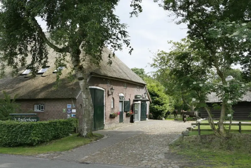 Ferienhaus in Anderen, Rolde f&uuml;r max. 34 Personen