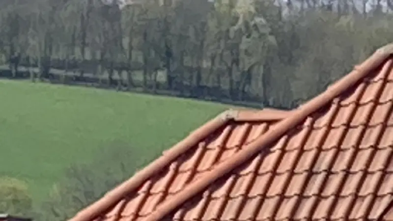 Ferienwohnung Eisenach