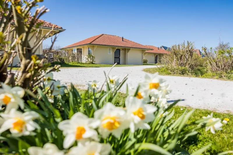 Ferienhaus in Hoorn, Terschelling f&uuml;r max. 6 Personen