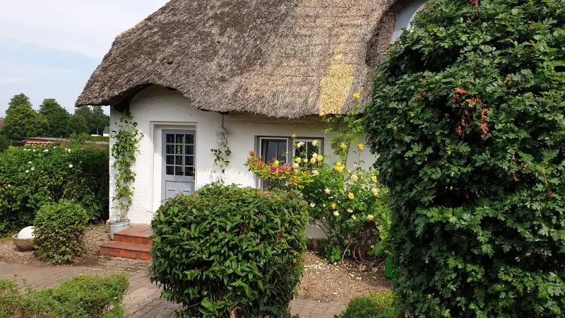 Ferienhaus Högsdorf