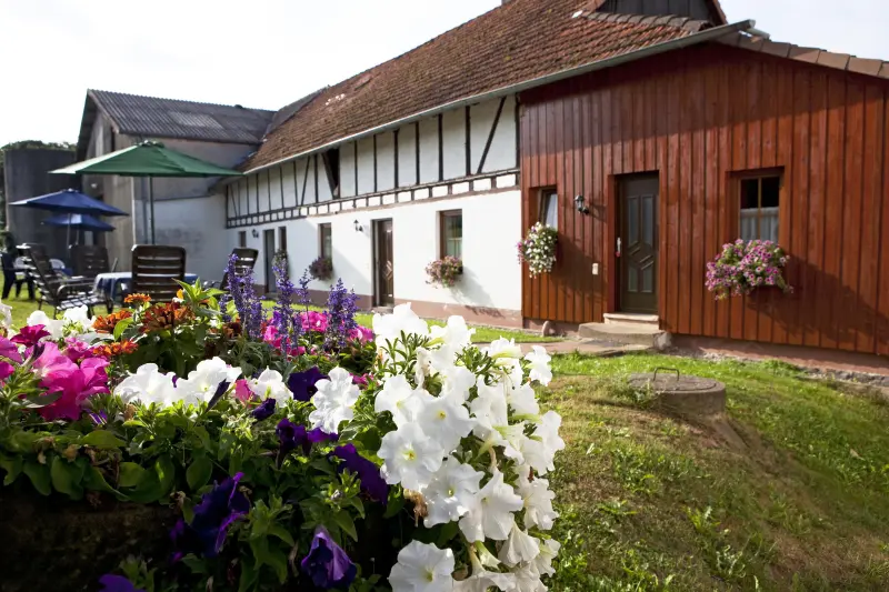 Ferienwohnung  Wald-Michelbach