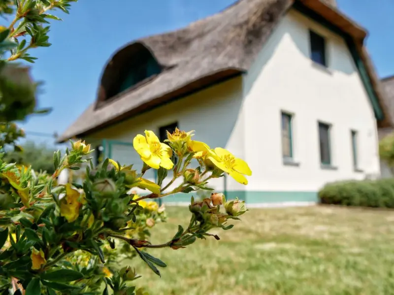 Ferienhaus Scharmützelsee