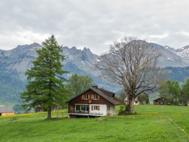 Ferienhaus Wildhaus