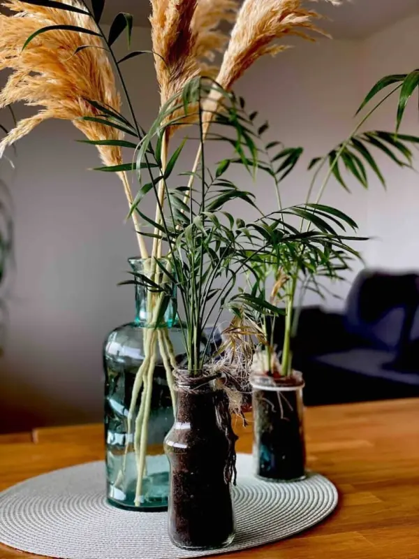 Ferienwohnung Kommern