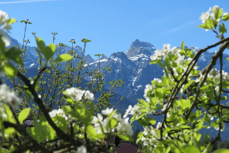 Ferienwohnung Krün