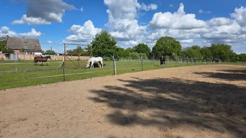 Ferienwohnung  Torgelow