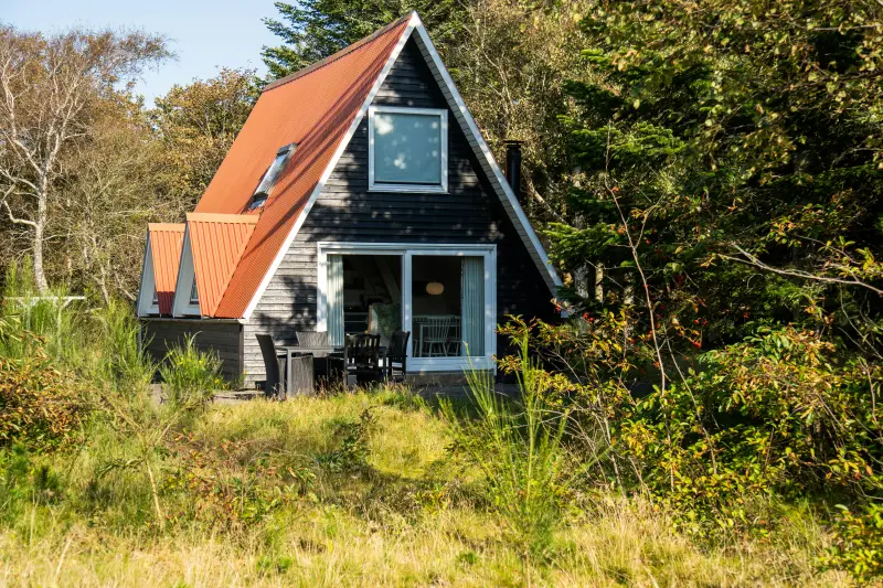 Ferienhaus mit Hund in Agger fuer max. 4 Personen