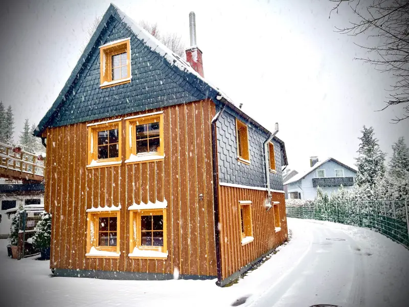 Ferienhaus Buntenbock