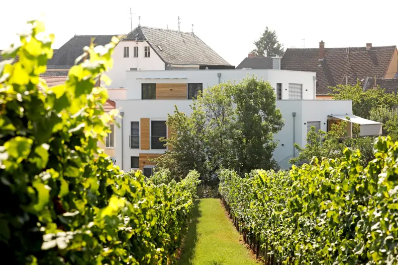 Ferienwohnung  Hainfeld