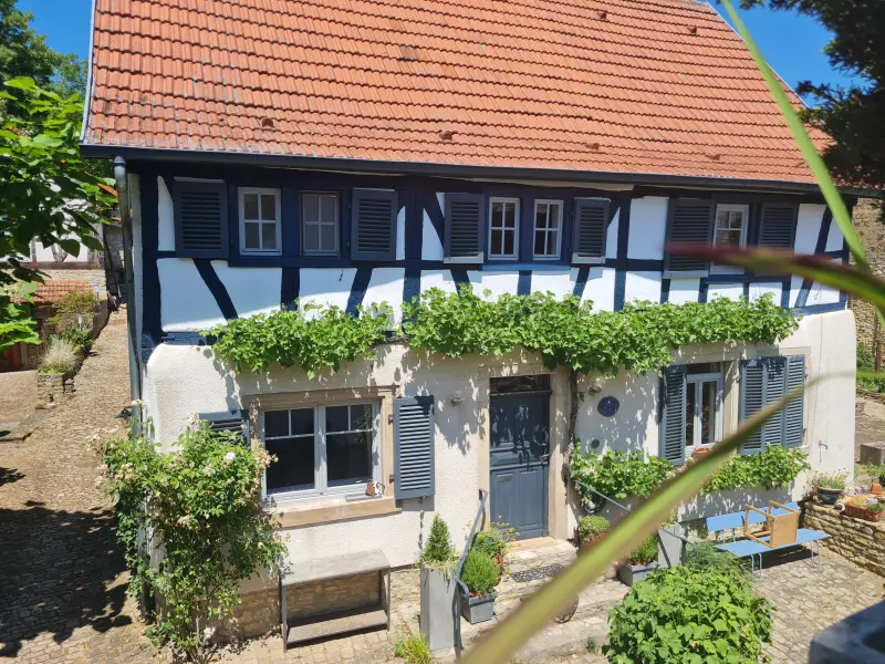 Ferienwohnung  Ingelheim am Rhein