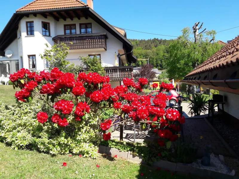 Ferienwohnung in Wittenschwand, Urberg f&uuml;r max. 2 Personen