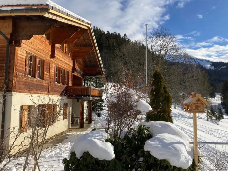 Ferienhaus Hasliberg