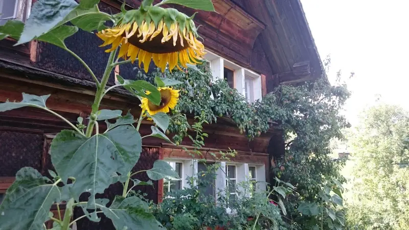 Privatzimmer Lichtensteig