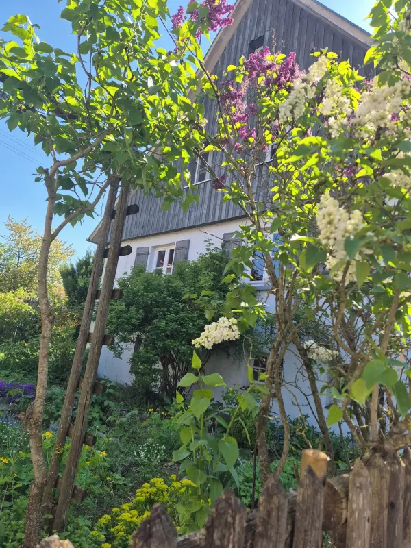 Ferienhaus Sonnenbühl