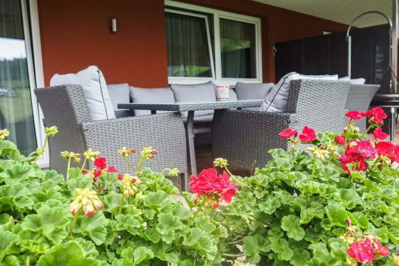 Ferienhaus mit Hund in Forstau für max. 6 Personen Ferienhaus mit Hund in Forstau für max. 6 Personen